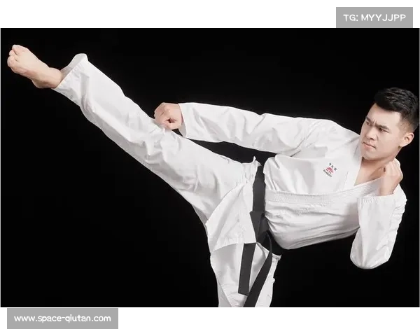 空手道运动员职业生涯规划与退役后发展路径研究