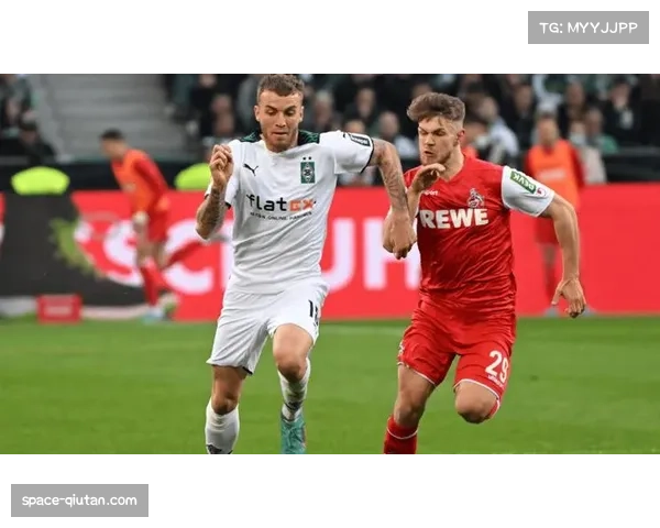 场上趣闻：莱比锡对阵科隆，球场闯入一只狐狸导致比赛中断五分钟